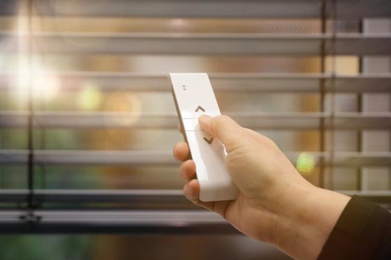 La ventana de la oficina de la capa doble de la cebra cubre sin cuerda ciego con el motor elegante