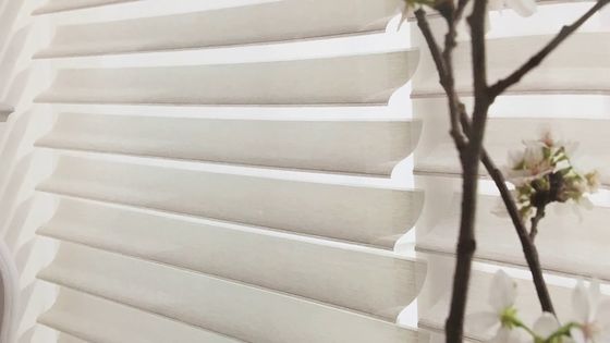Eléctrico ideal de las cortinas del La de Shangri del apagón de las sombras motorizado para la decoración de la ventana