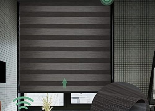 El PVC de Grey Motorized Roman Blind Curtains laminó el tipo para la sala de estar