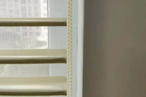 Dos capas cuentan un cuento el estilo elegante transparente de las cortinas del La de Shangri para el dormitorio