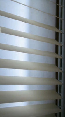 El PVC hace espuma cortina vertical ideal resistente del aceite ULTRAVIOLETA impermeable semi ciego del moho