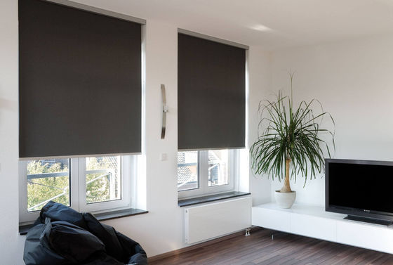 Grey Polyester Fabric Roller Blinds 100% para la tarifa abierta de la sala de estar el 85%