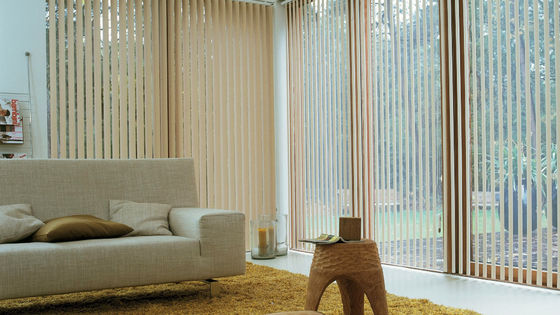 Apagón de las cortinas de la decoración medio de ventana del balcón eléctrico inteligente vertical nórdico de las persianas