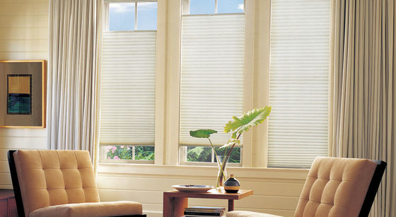 Día y noche cortinas del panal para sombrear de elevación eléctrico de las cortinas del obturador de la sala de estar