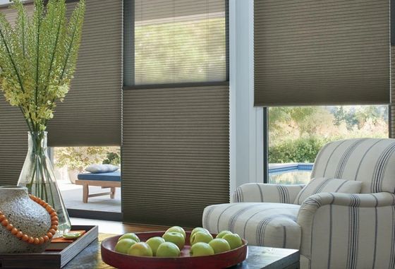 Día y noche cortinas del panal para sombrear de elevación eléctrico de las cortinas del obturador de la sala de estar